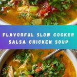 Slow Cooker Salsa Chicken Soup Recipe
