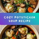 Potsticker Soup Recipe