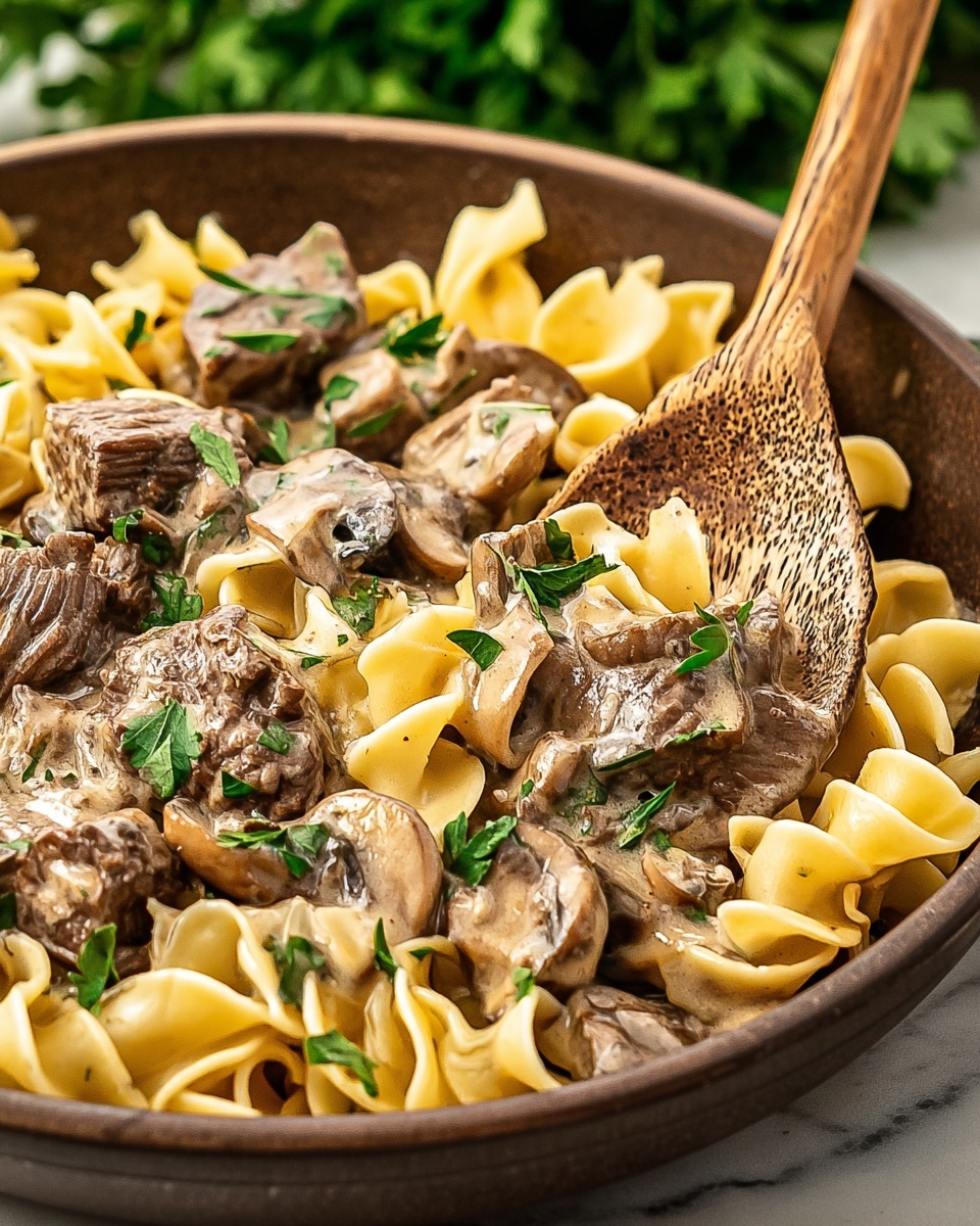 Old Fashioned Beef Stroganoff Recipe - Recipe Image
